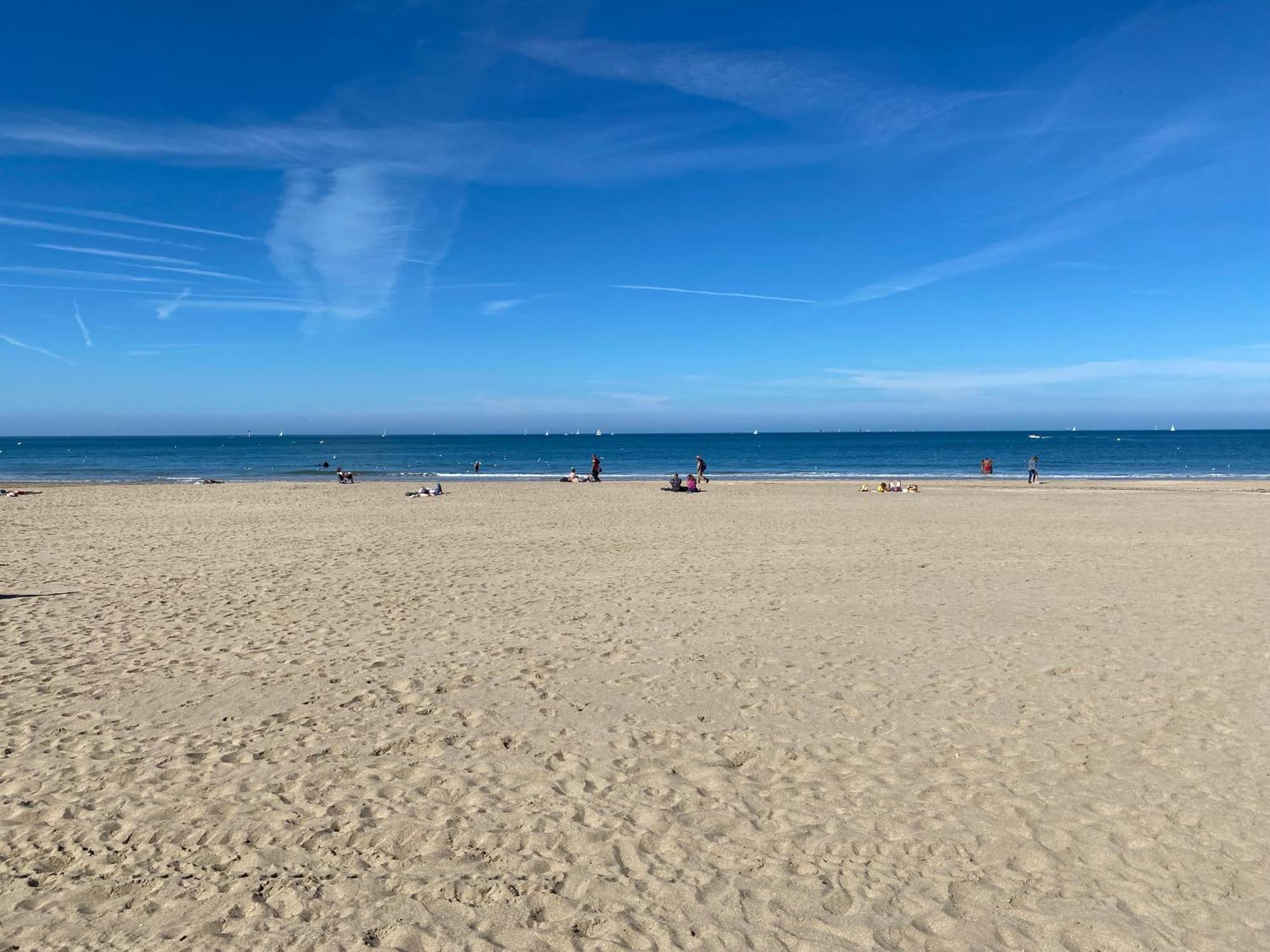 Cote Plage - Magnifique Appartement De Charme A Trouville Sur Mer - Linge - Lit Fait - Parking - Wifi - Classe Par L'Office Du Tourisme Eksteriør bilde